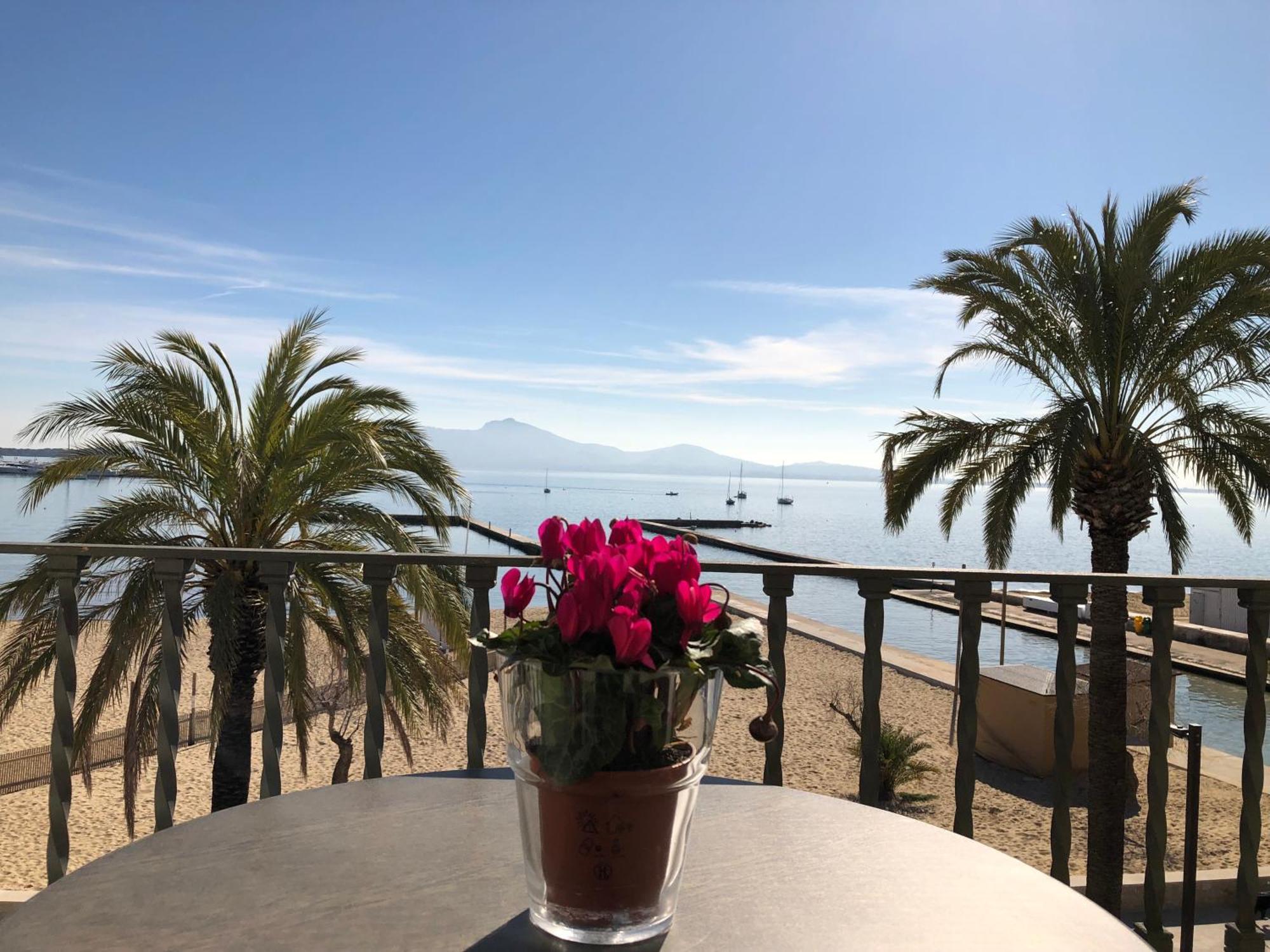 Appartamento Torre Playa